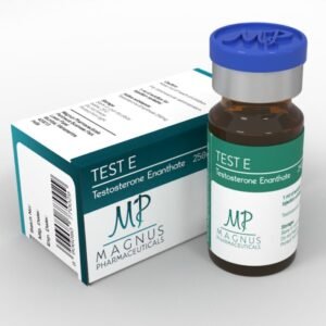 TEST E Magnus